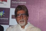 Amitabh Bachchan at the launch of Aadesh Shrivastav_s album based on 26-11 in Cinemax on 26th Nov 2011 (66).JPG